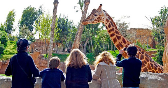 Bioparc y Oceanogràfic.