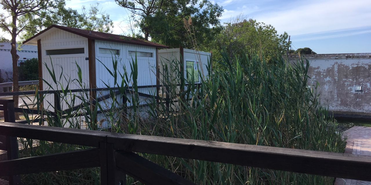  DEVESA-ALBUFERA INSTALA «POR PRIMERA VEZ EN LA HISTORIA» UN BAÑO PÚBLICO EN EL MIRADOR DEL PUJOL