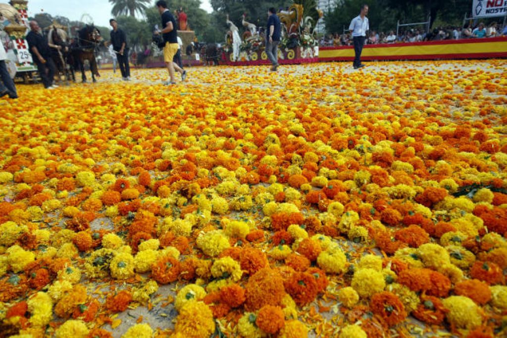  LA BATALLA DE FLORES