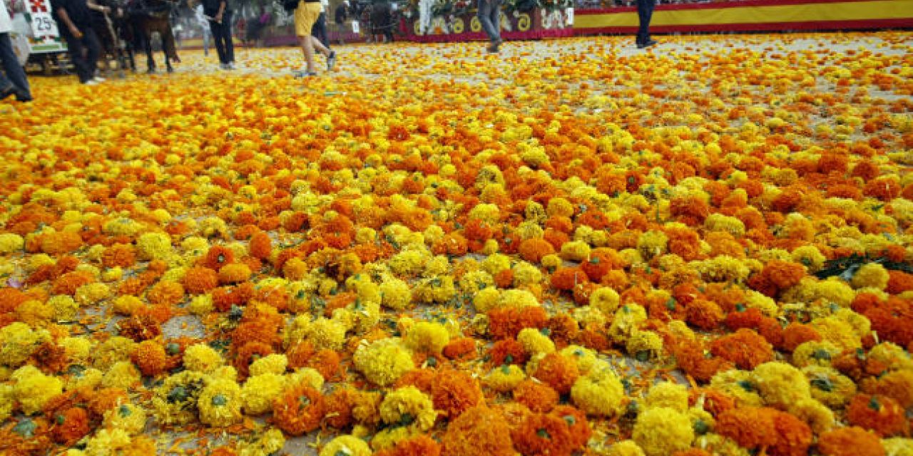  LA BATALLA DE FLORES