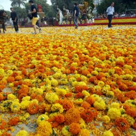  LA BATALLA DE FLORES