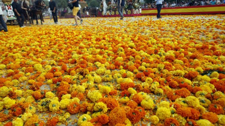 LA BATALLA DE FLORES