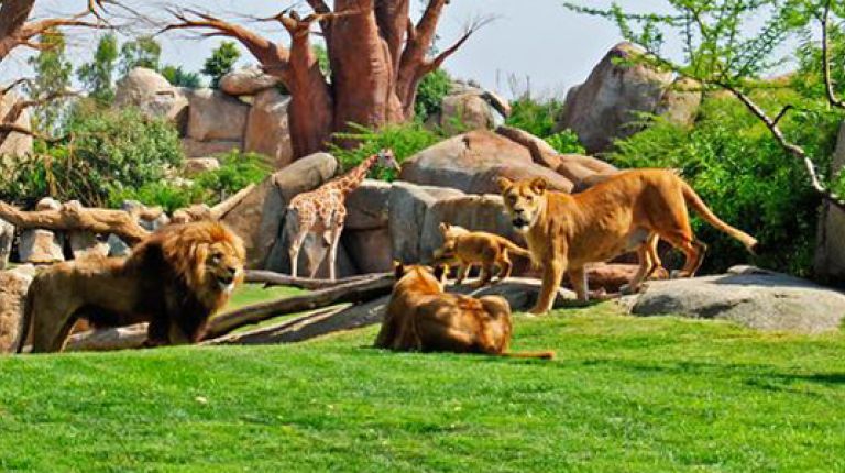 Bioparc Valencia