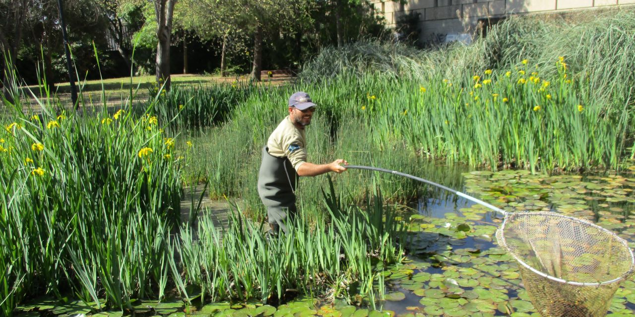   EL NUEVO MODELO DE JARDINERÍA DE LA CIUDAD 