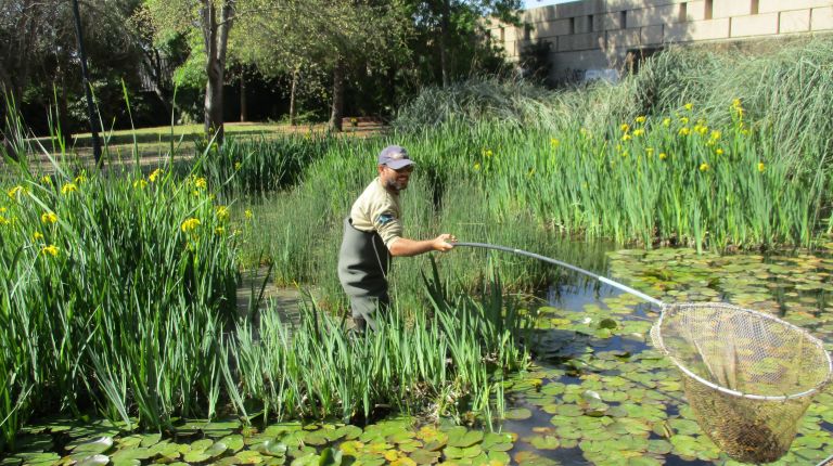  EL NUEVO MODELO DE JARDINERÍA DE LA CIUDAD 