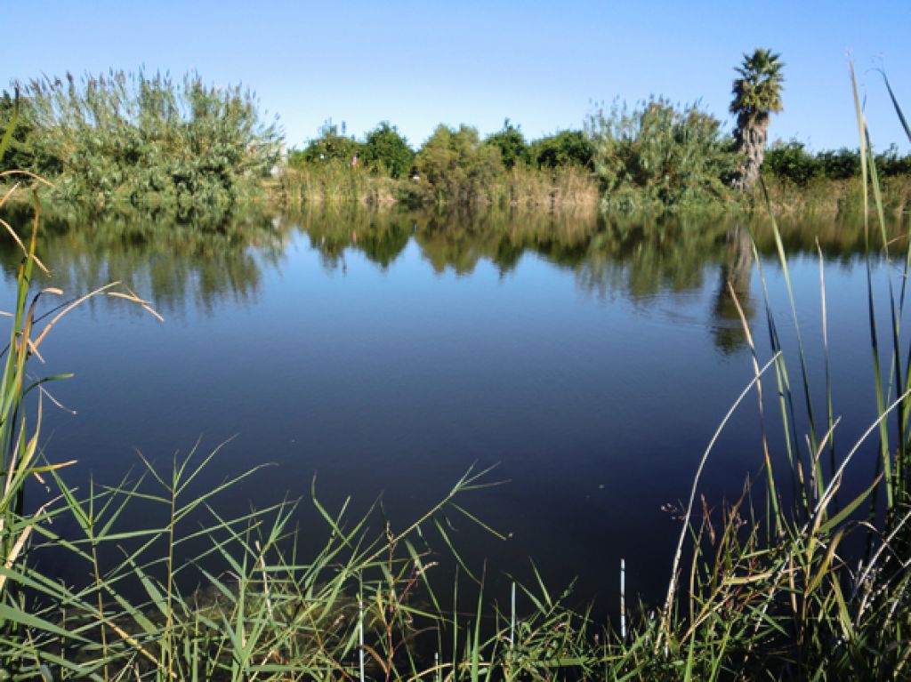  Una vía verde junto a la Sèquia Travessera conectará el marjal de Xeresa y Xeraco con la ayuda de la Diputación