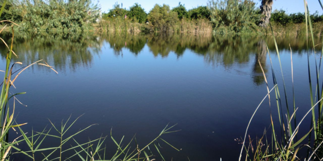  Una vía verde junto a la Sèquia Travessera conectará el marjal de Xeresa y Xeraco con la ayuda de la Diputación