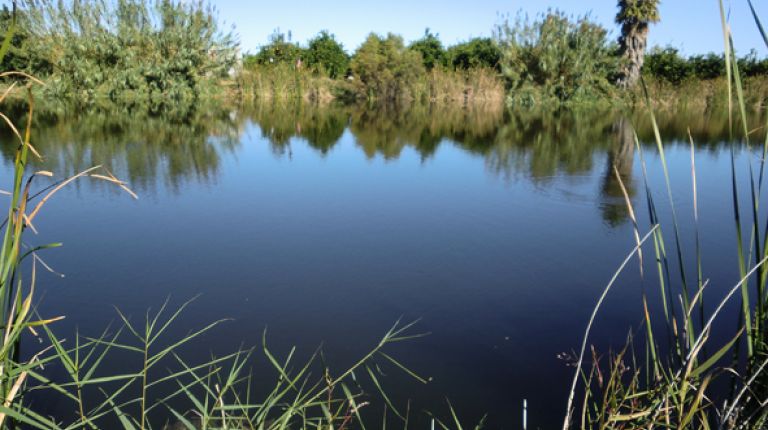 Una vía verde junto a la Sèquia Travessera conectará el marjal de Xeresa y Xeraco con la ayuda de la Diputación