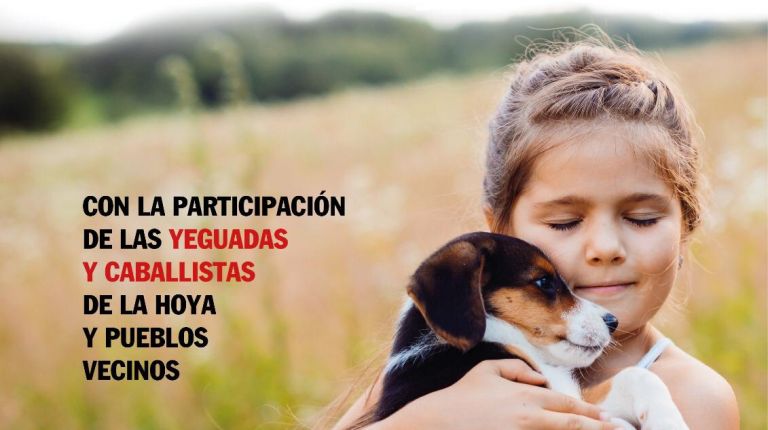 La recta del Planell de Buñol alberga este domingo la tradicional bendición de animales por San Antón 