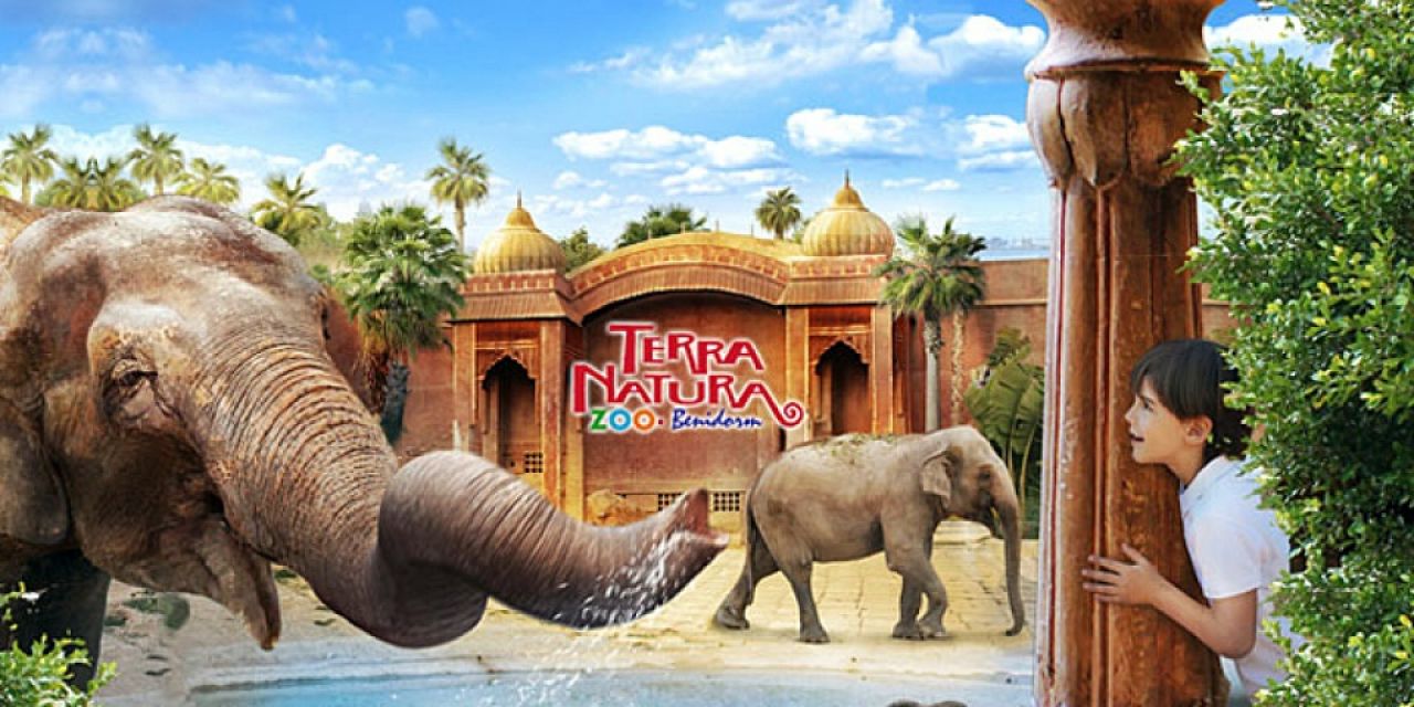  El Festival Holi de Terra Natura Benidorm superará su record de participación con 4.000 asistentes   